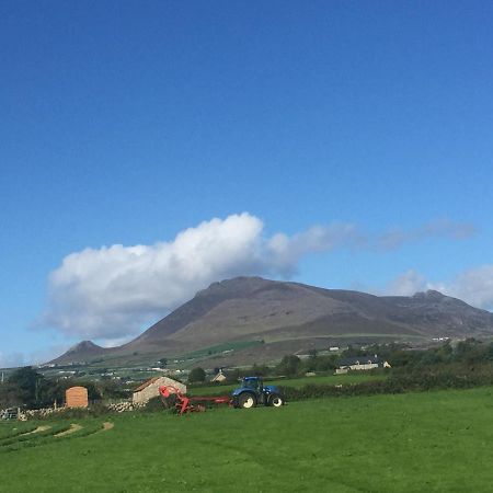 Willowtree Glamping Mournes Annalong Exterior photo
