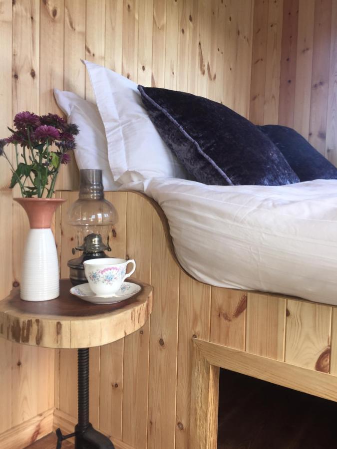Willowtree Glamping Mournes Annalong Exterior photo
