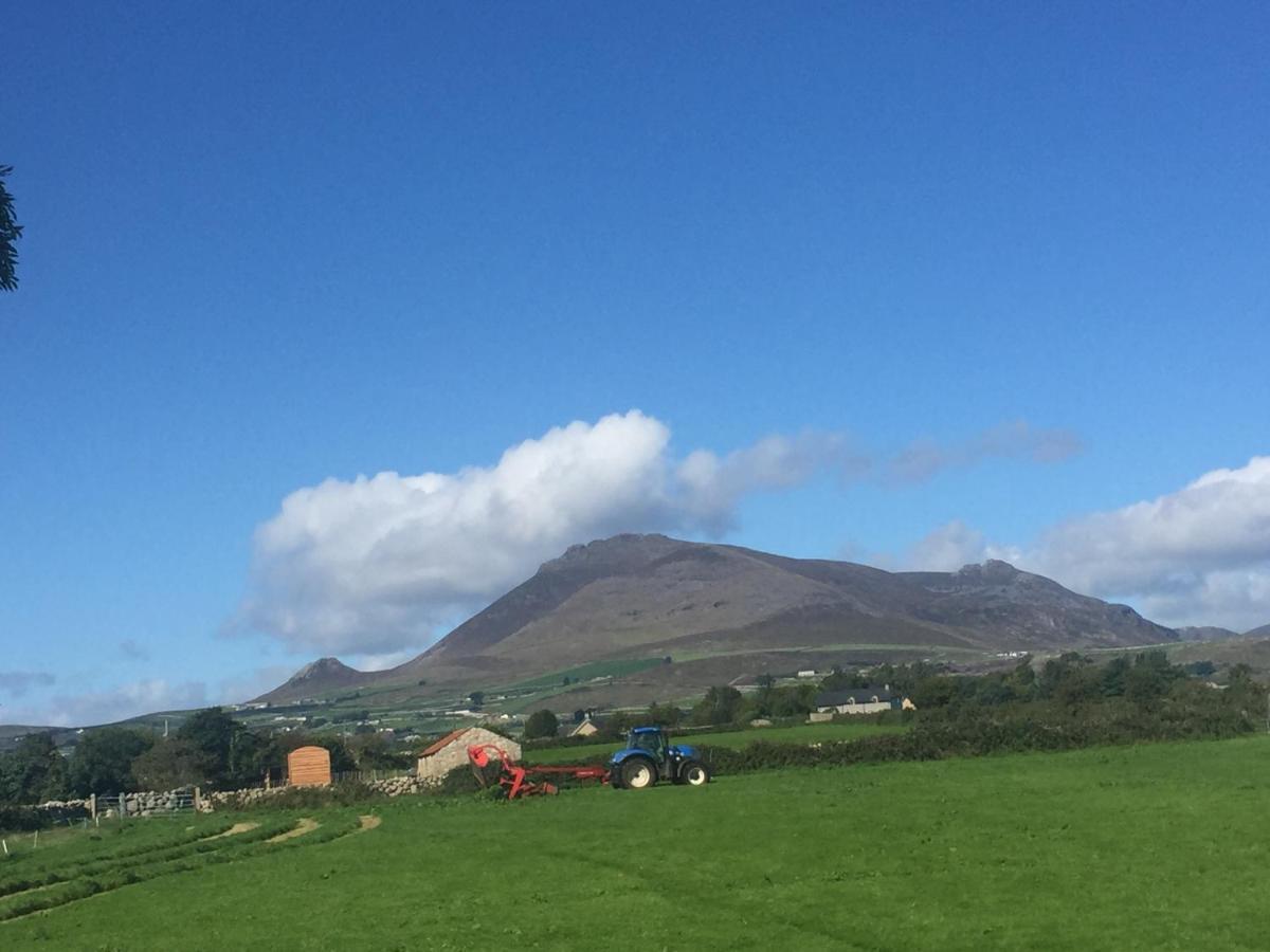 Willowtree Glamping Mournes Annalong Exterior photo
