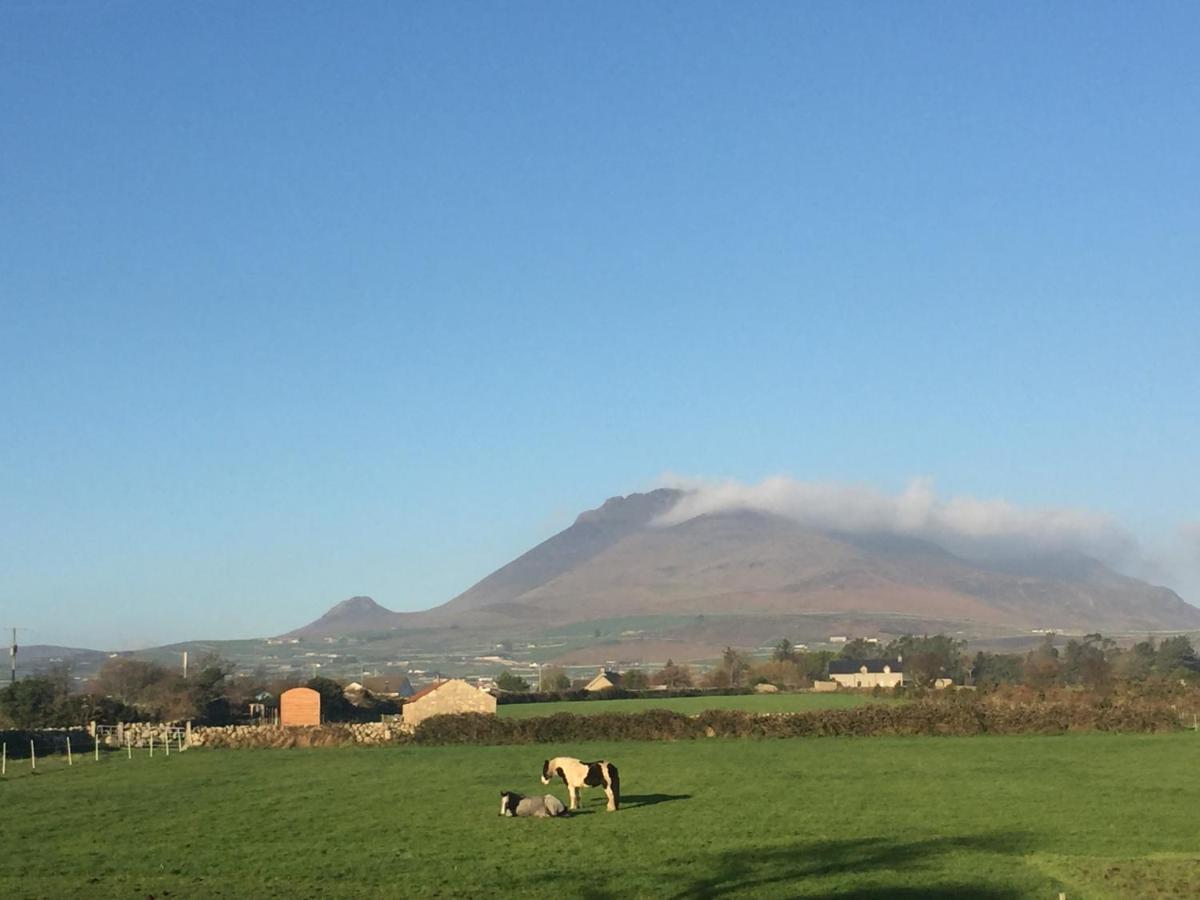 Willowtree Glamping Mournes Annalong Exterior photo